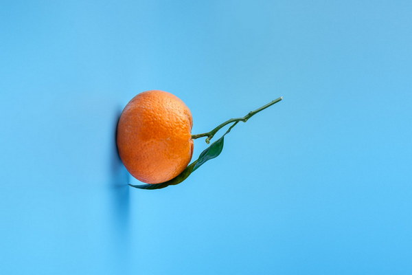 蔬菜で栄養満点身体を健康にするベストな野菜とは