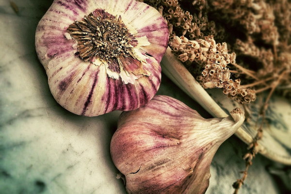 Revitalize Your Lungs with the Power of Radish Best Ways to Incorporate This Superfood into Your Diet