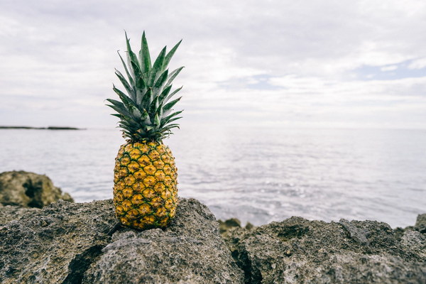 Can Humidity Truly Relieve Health Conditions Unraveling the Myths