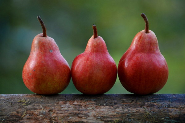 The Apple Secret Discover How Many Apples a Day Can Beautify Your Skin