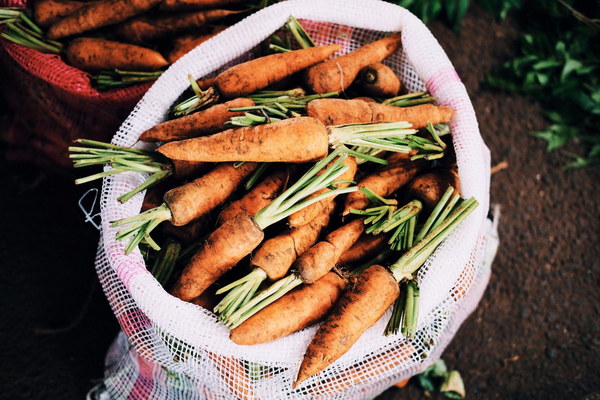 Nourishing Your Lungs A Culinary Journey into Lung-Cleansing Foods