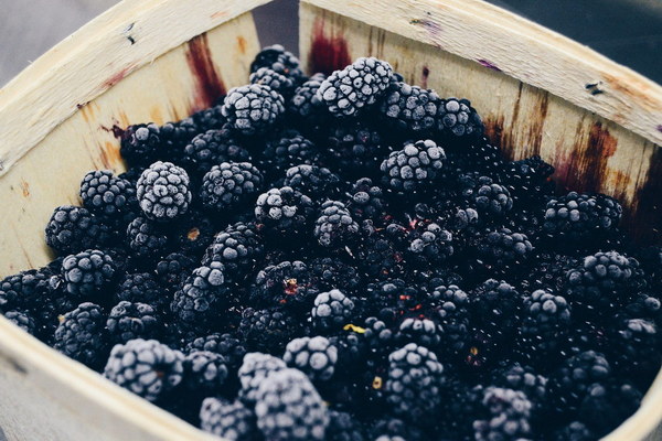 The Beauty of Fermented Grapes Can Wine Lees Benefit Your Skin