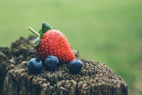 Nourishing Your Babys Stomach A Delightful and Nutritious StomachBuilding Baby Breakfast Menu