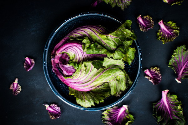 Balancing the Breadbasket A Guide to Nourishing Your Stomach with a Mix of Whole Grains and Refined Foods