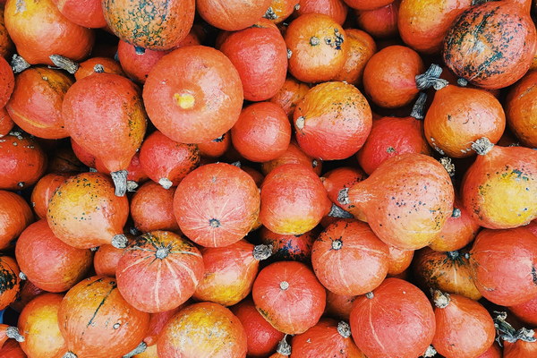 The Winter Nourishment Shopping Frenzy Embracing Traditional Chinese Remedies for a Cozy Season