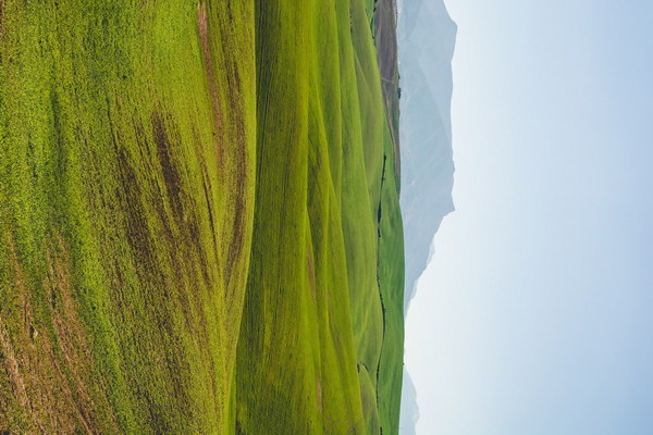 Discover the Serenity of Chongqing Wansheng Health and Retirement Town A Journey Through Wellness and Natural Beauty