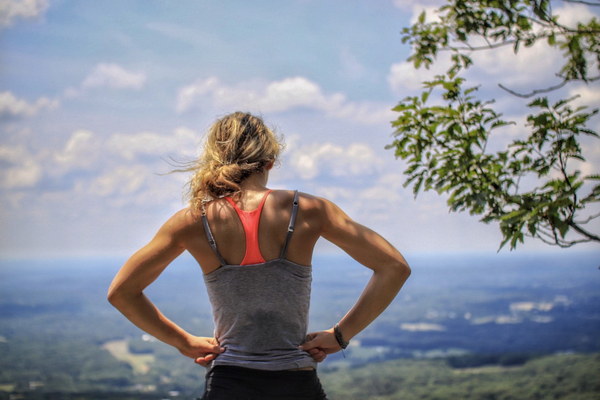 Harmonizing Body and Mind A Comprehensive Summary of Traditional Chinese Medicine Wellness Training