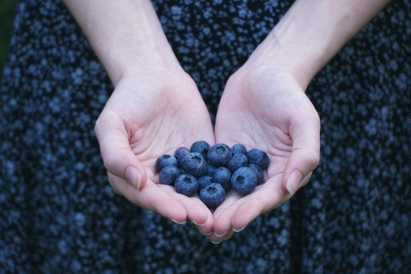 Boost Your Qi and Blood Discover the Power of Eating Right