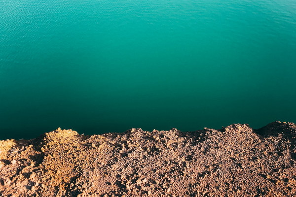 汗をかくことで体を軽く湿気を追い出す効果的な祛湿運動大全