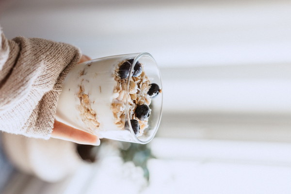 Herbal Duck Soup A Health-Boosting Elixir with Angelica Sinensis and Codonopsis Pilosula