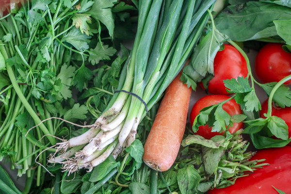 Soothing Your Stomach The Healing Power of GastricFriendly Zucchini Dishes