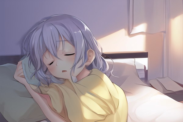 夜更けの静かな部屋で私は眠りについたしかしその夢の中では前妻との激しい論争が繰り広げられていた