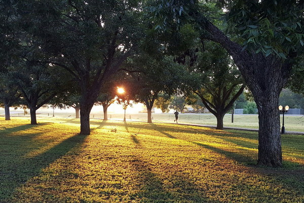 Embrace the Sun Grounding Your Way to Wellness - How Laying on the Ground Can Wipe Away Dampness