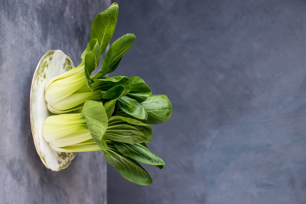 Can Dandelion Clear Phlegm and Benefit the Lungs