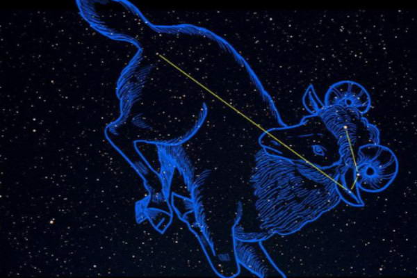 Is Aries the Canine Constellation Unleash the Truth Behind the Dog Sign Mystery